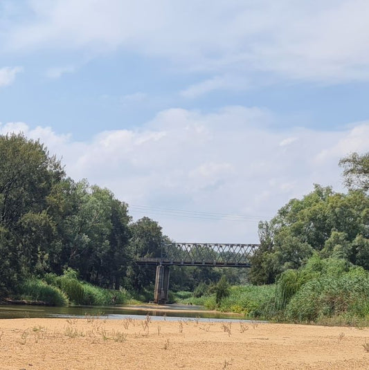 Saturday, Sept 19 2026 2pm-4pm Weaving Workshop "Weave your Walk"