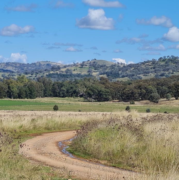 Cycle Goolma Gravel Saturday 21 March - 8.30am-1.30pm.