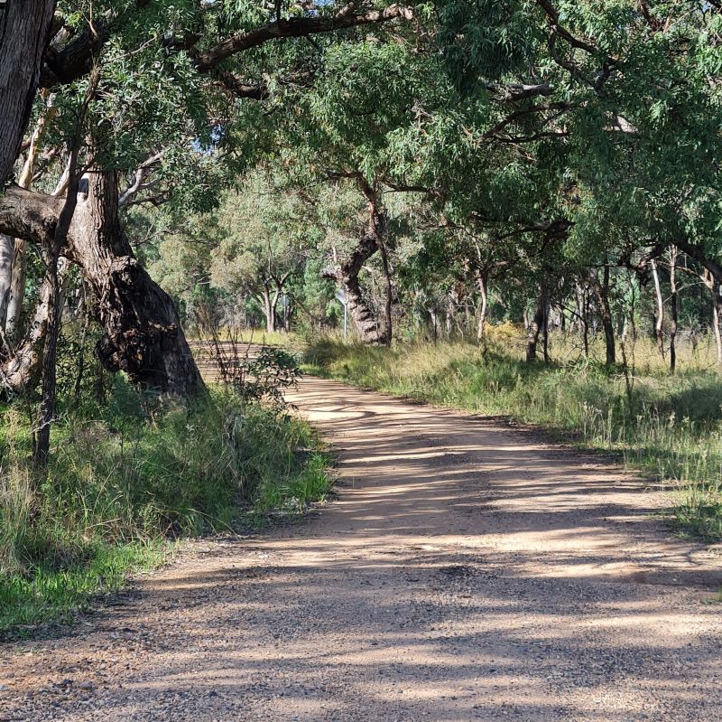 Sunday 20 Sept 2026, 8.30am RETURN RIDE Mendooran to Coolah or Dunedoo via Digilah, depart Mendooran Cafe