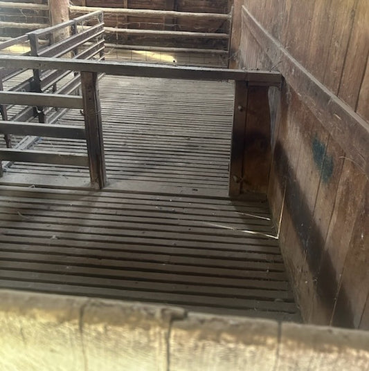 Saturday, 19 Sept 2026, 8.45am-11am 'pop-up' Cafe Yarragrin Woolshed