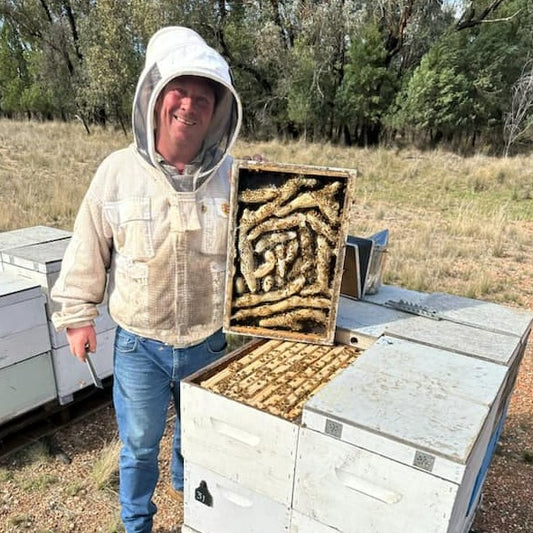 SATURDAY 4 May, 2pm-2.45am LIFE OF BEES - TASTES OF HONEY at "The Bee Farmer"